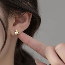 Brinco Joaninha com Zircônia Colorida